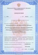 Лицензия